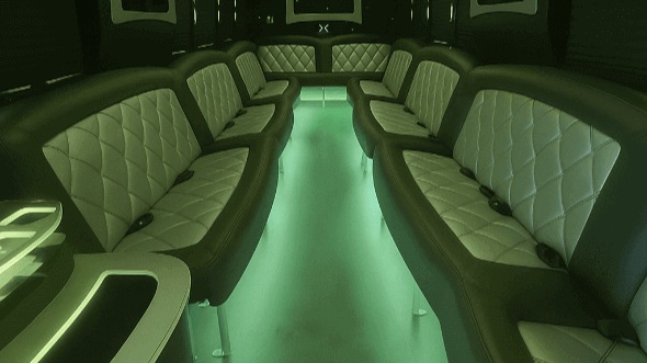 Interior of Brandon Party Bus Company's 20 Passenger Party Bus in Brandon